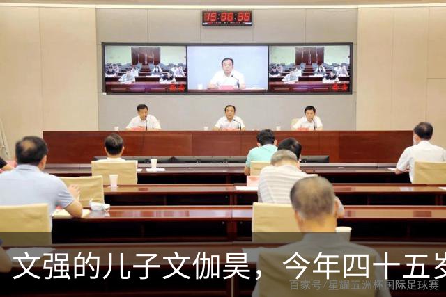文强的儿子文伽昊，今年四十五岁了，定居在重庆，早已撕掉了